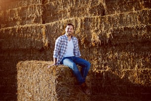 カメラを見ながら干し草の俵に座っている格子縞のシャツとジーンズを着たハンサムな白人のひげを生やした笑顔の農民。