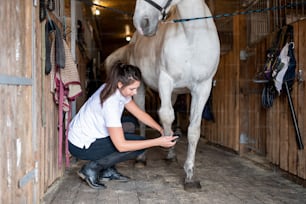 Junge Pflegerin in Freizeitkleidung reinigt den Huf eines weißen reinrassigen Rennpferdes mit einer speziellen Bürste im Stall