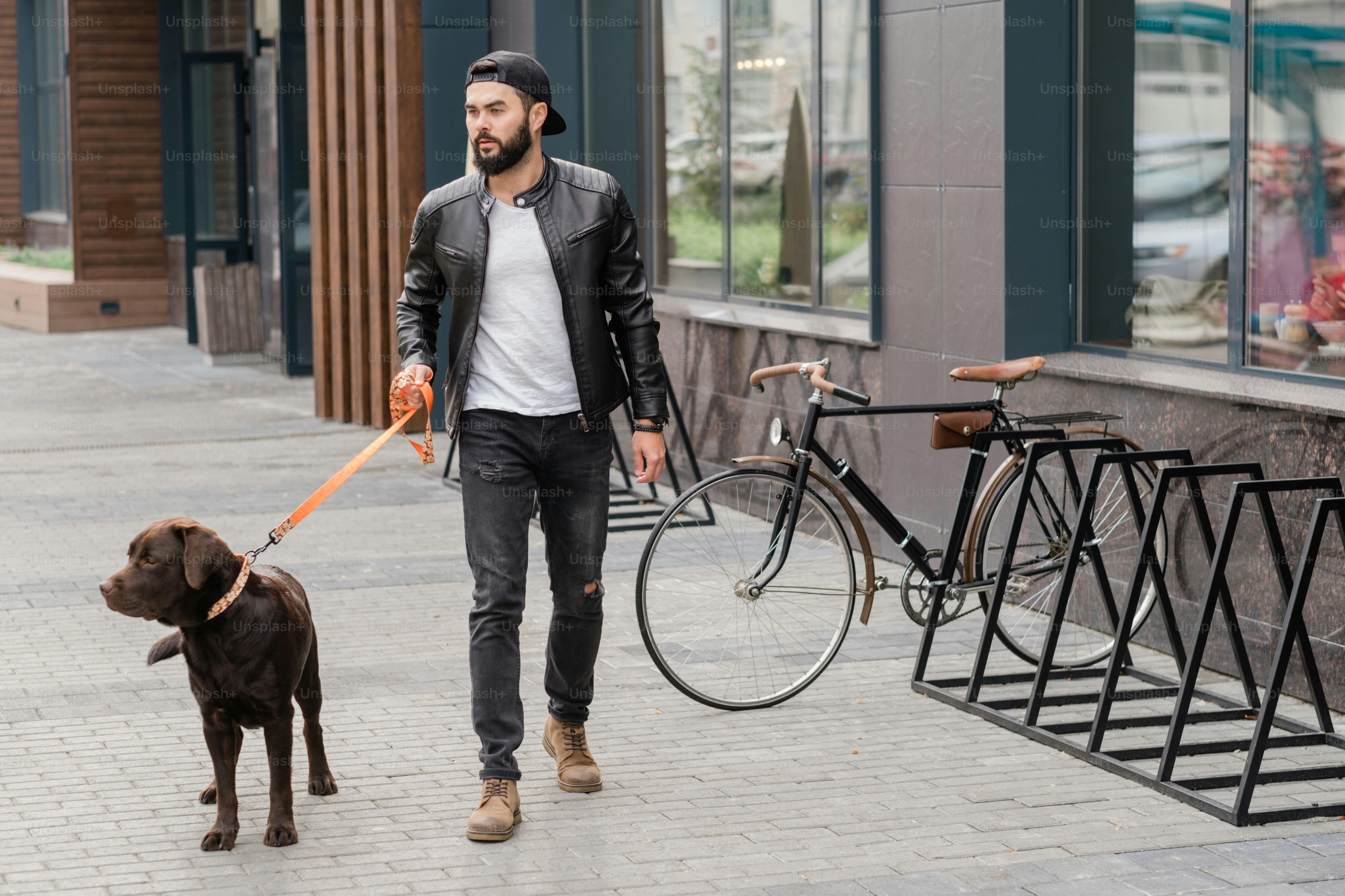 Handsome guy in casualwear holding leash while taking walk with his pet in urban environment