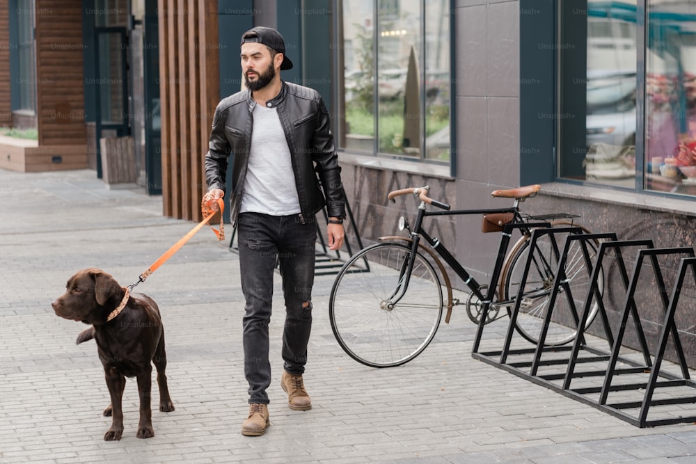 캐주얼웨어를 입은 잘생긴 남자가 목줄을 잡고 도시 환경에서 애완동물과 함께 산책을 한다