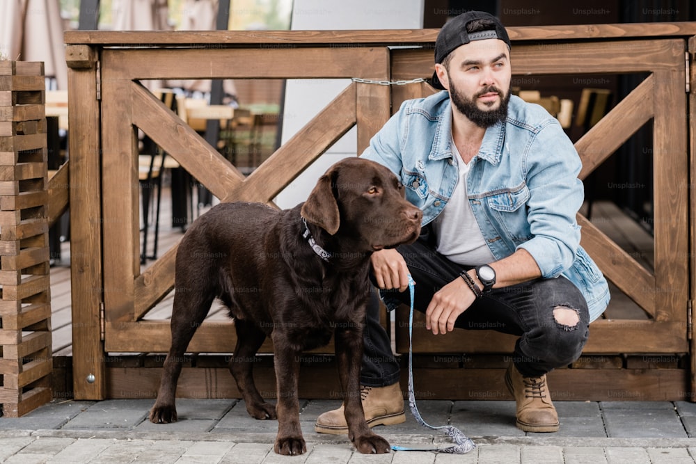 Young owner of purebred brown labrador squatting by wooden wickets while chilling with his cute pet