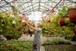 Portrait d’une femme âgée travaillant dans un jardin fleuri
