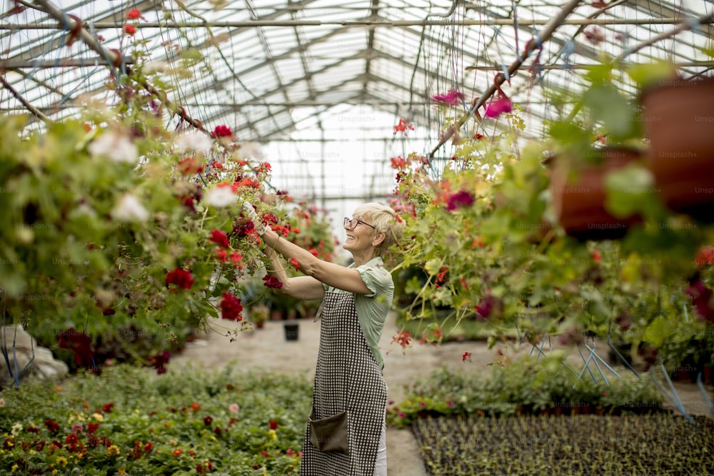 Portrait of senior woman working in flower garden