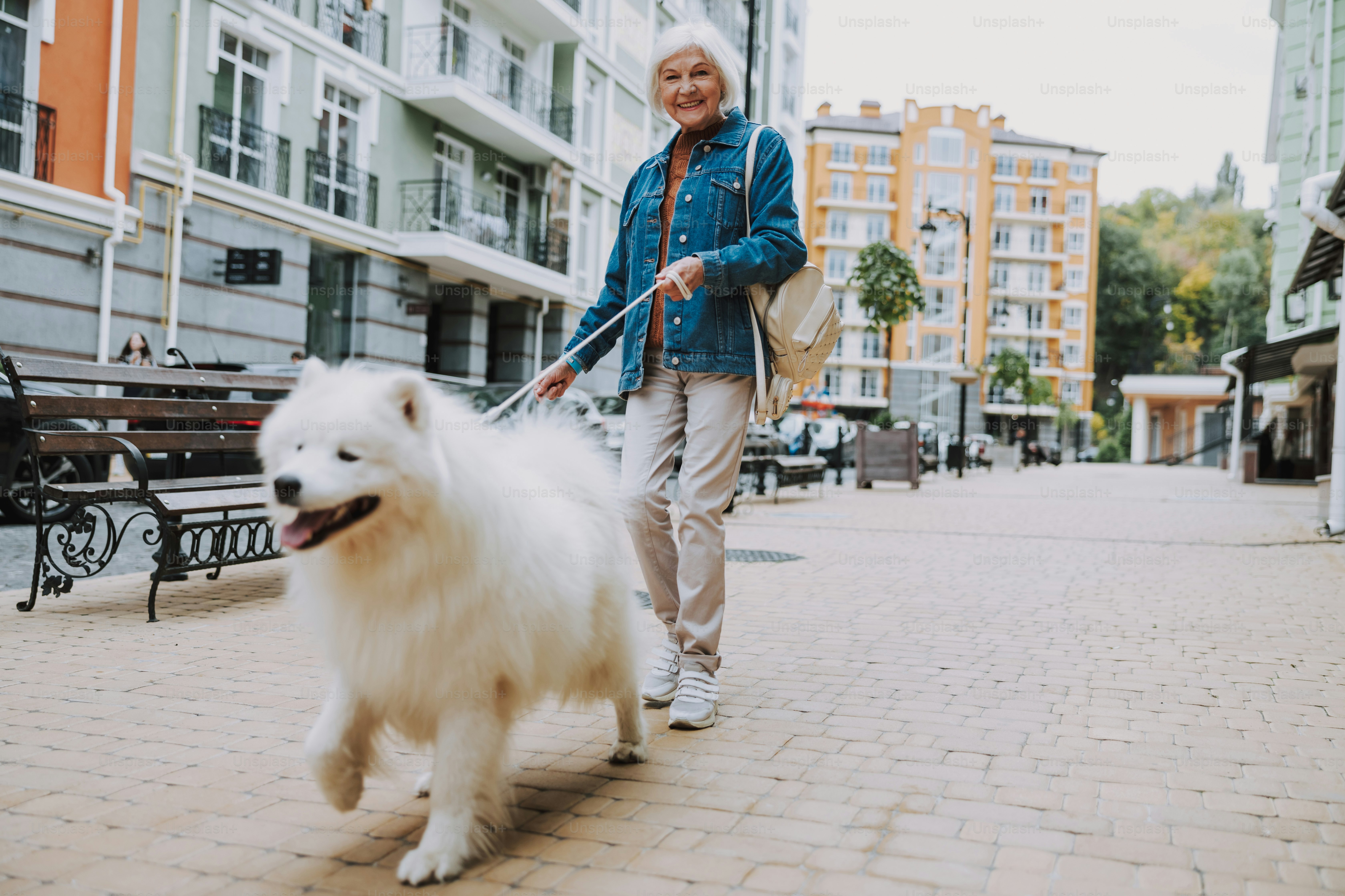 Smiling woman walking with her beautiful dog on leash. Pet care concept