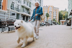 Donna sorridente che cammina con il suo bellissimo cane al guinzaglio. Concetto di cura degli animali domestici