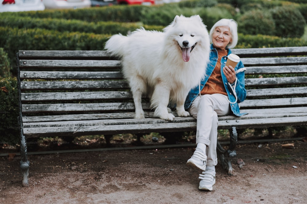 바깥 벤치에서 커피를 마시며 웃고 있는 할머니. 애완 동물 관리 개념