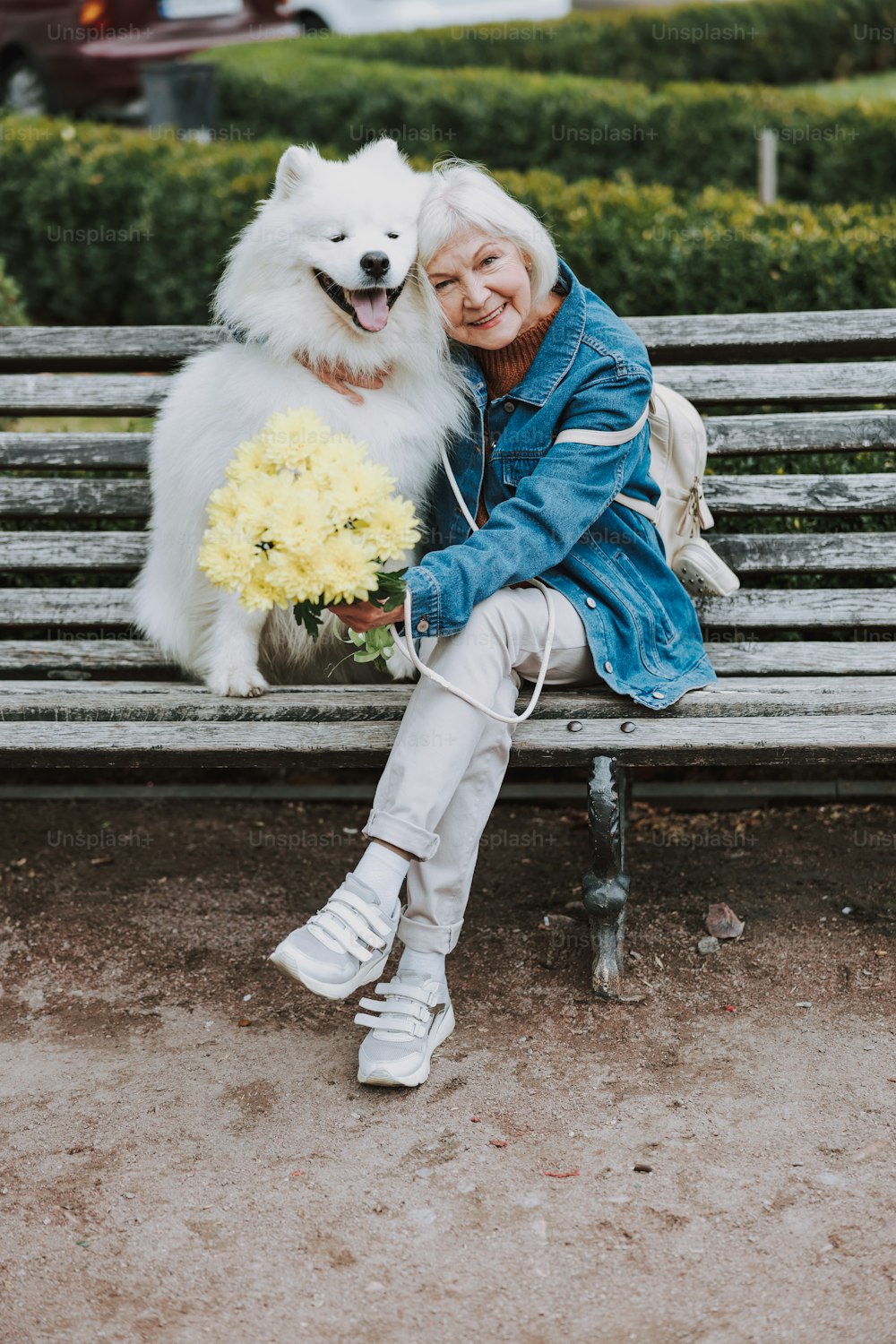 Mein lieber Hund. Lächelnde alte Dame mit Blumenstrauß, die für die Kamera auf der Bank posiert. Tierpflege-Konzept