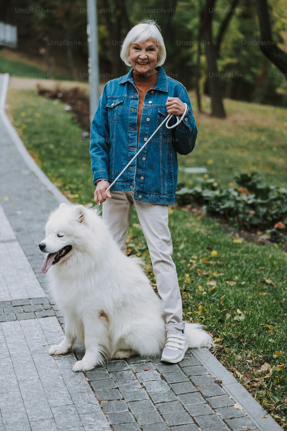 Smiling adult woman posing with beautiful pet in park stock photo