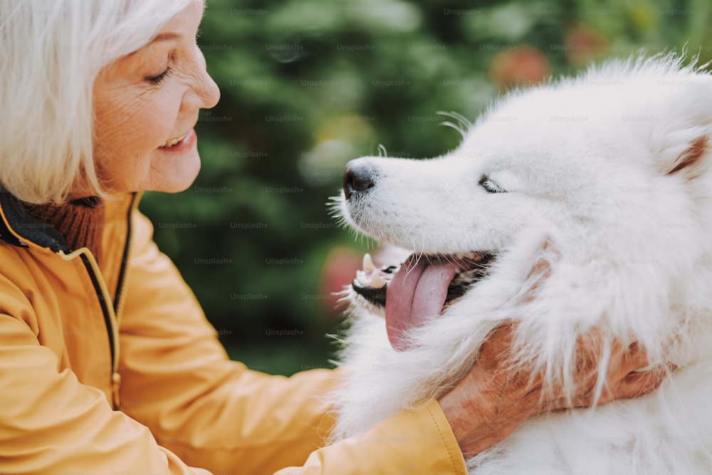내 가장 친한 친구. 웃고 있는 성인 아가씨 감탄하는 그녀의 귀여운 강아지 스톡 사진