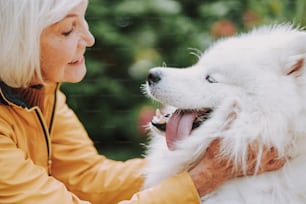 My best ever friend. Smiling adult lady admiring her cute dog stock photo