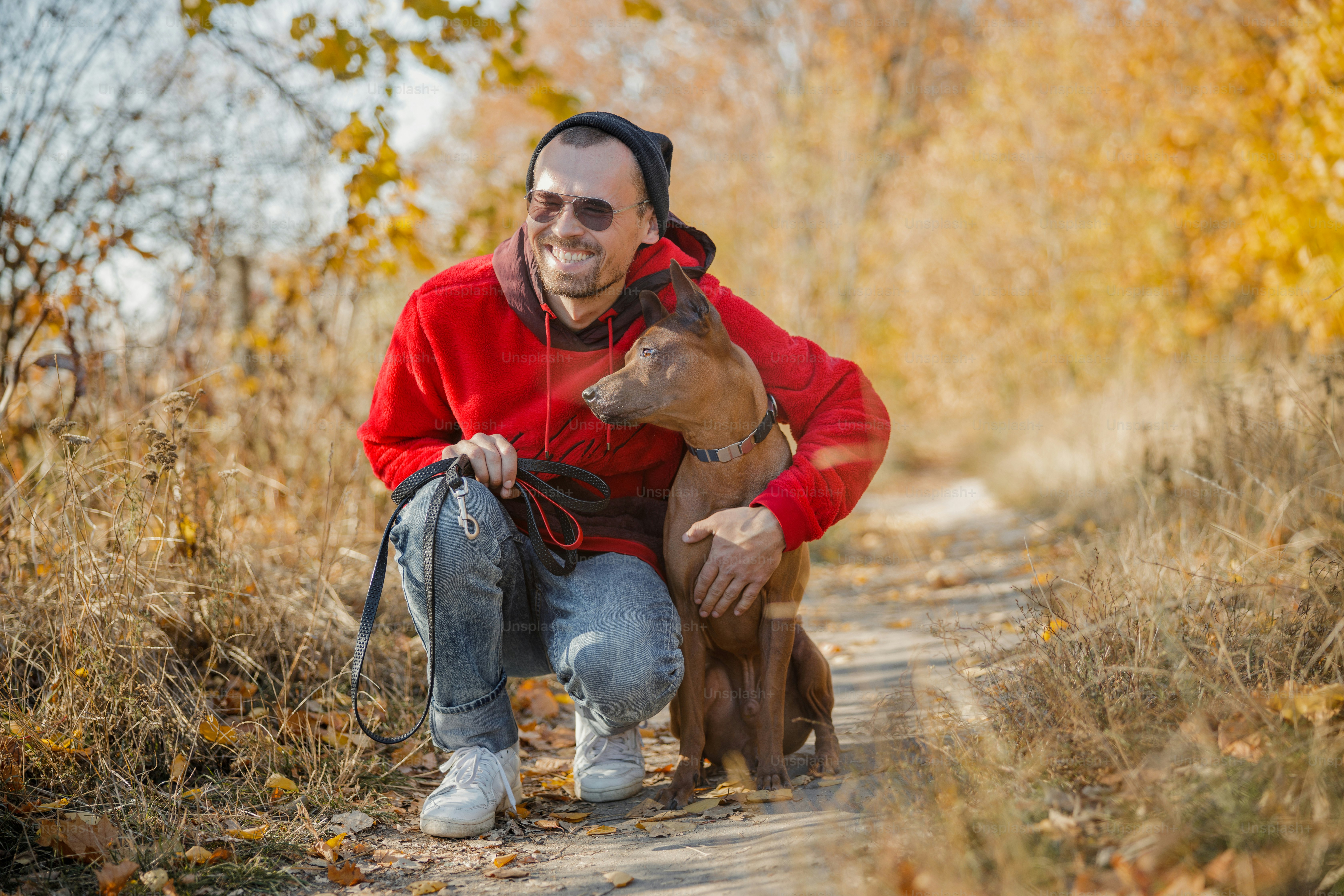 Positive young owner smiling happily while hugging his dog in the forest