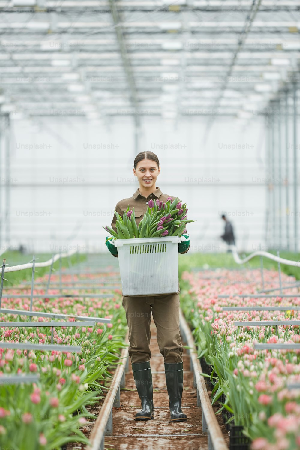 Retrato de cuerpo entero de una trabajadora sonriente que lleva una caja de tulipanes frescos en una plantación de flores en invernadero, espacio de copia