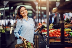 Attractive brunette holding basket with vegetables and holding fresh tomato at farmers market.