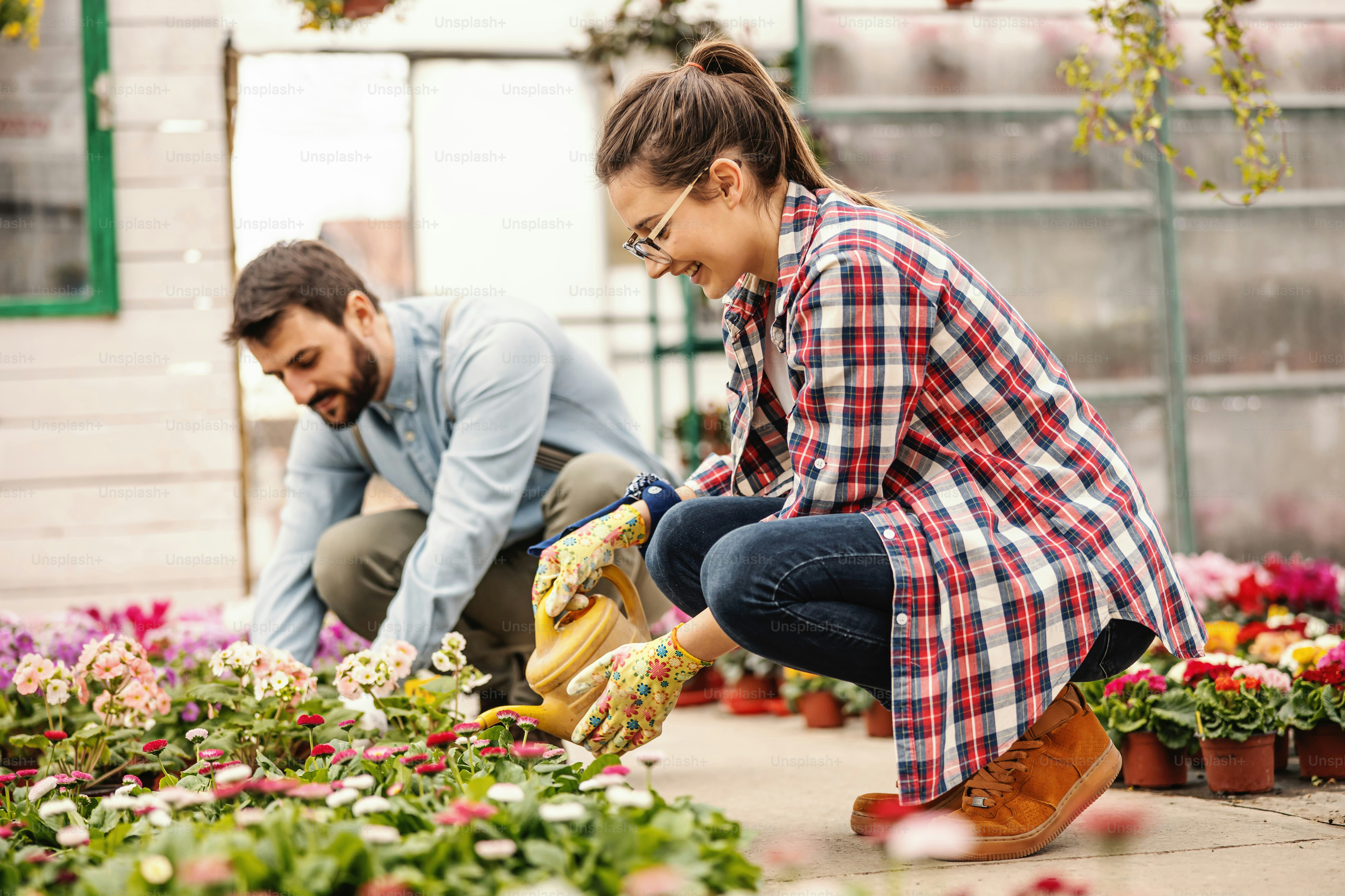 Young entrepreneurs crouching, watering flowers and they preparing for ...