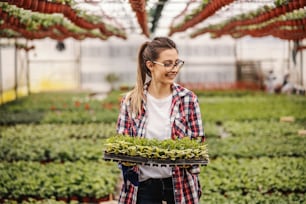 Young smiling entrepreneur standing in hothouse looking and holding saplings.