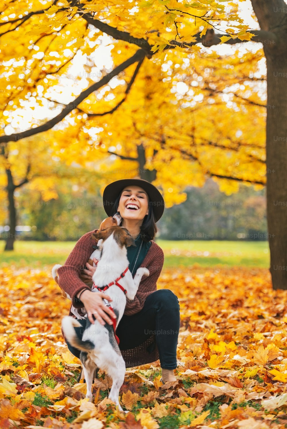 가을에 야외에서 개와 놀고 있는 행복한 젊은 여자