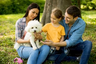 Jeune famille heureuse avec un chien bichon mignon dans le parc