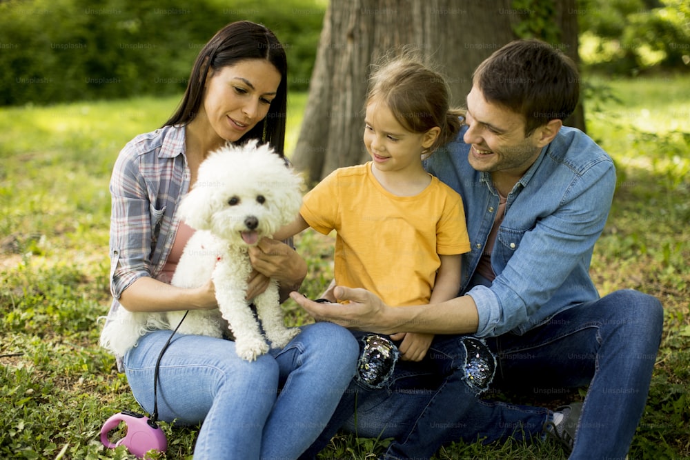 Happy young family with cute bichon dog in the park