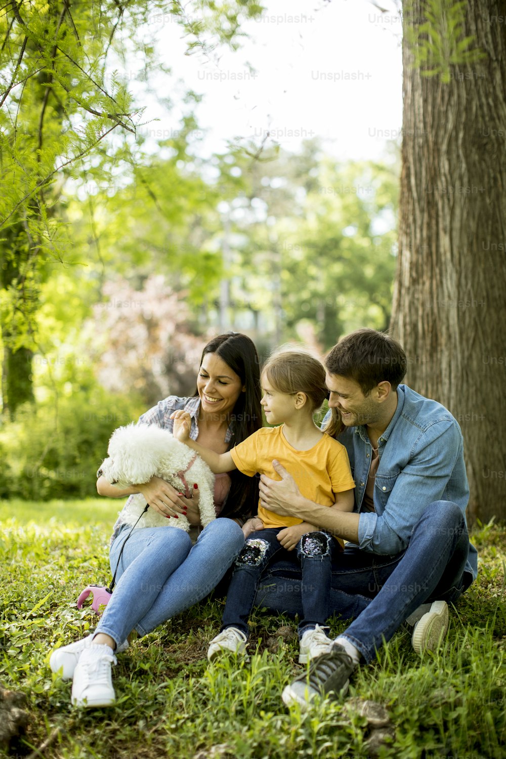 Beautiful happy family is having fun with maltese dog outdoors in the park under the tree