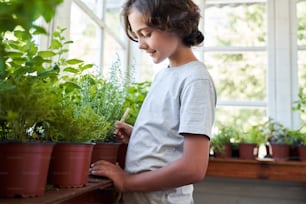 Criança masculina bonito usando espátula de jardim e sorrindo enquanto cuida de plantas de casa em casa