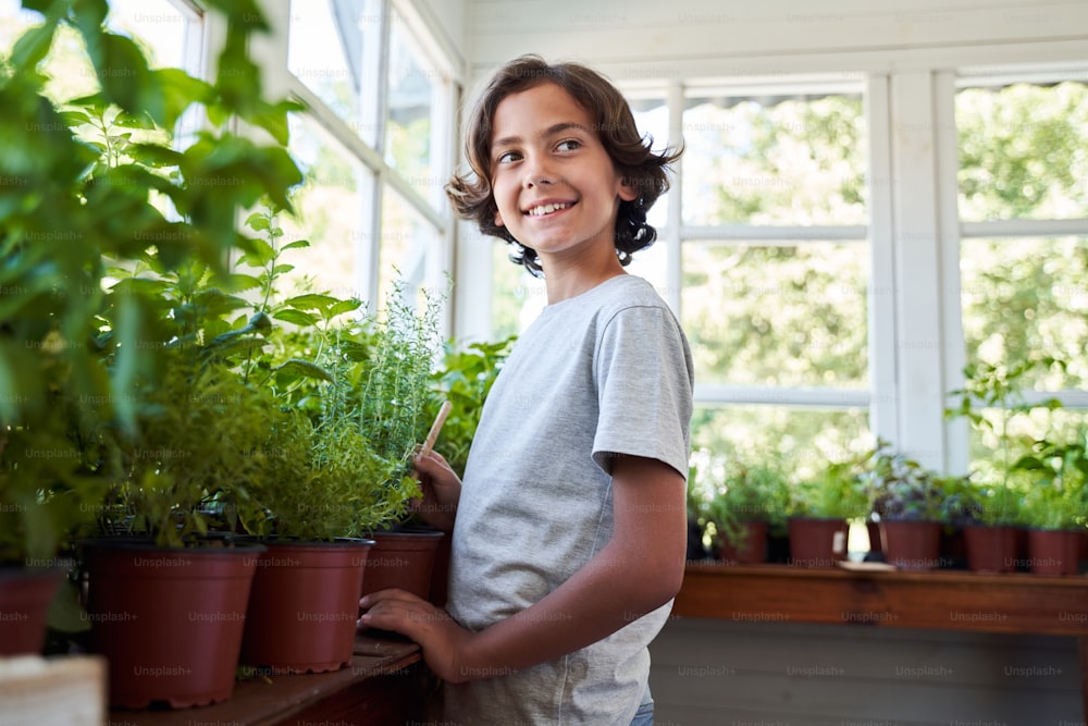 Menino alegre usando instrumento de jardinagem e sorrindo enquanto cuida de plantas de casa em casa