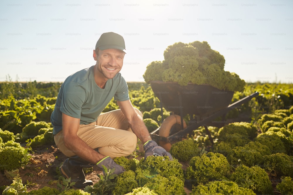Full length portrait of smiling male worker looking at camera while collecting harvest at vegetable plantation outdoors, copy space