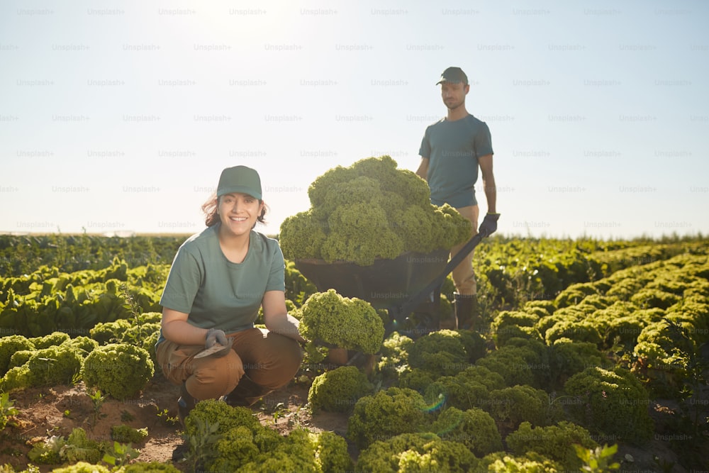 Full length portrait of two smiling workers looking at camera while posing with harvest at vegetable plantation outdoors, copy space