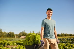 Portrait of smiling male worker pulling loaded cart with rich harvest and looking at camera while standing at vegetable plantation outdoors in sunlight, copy space