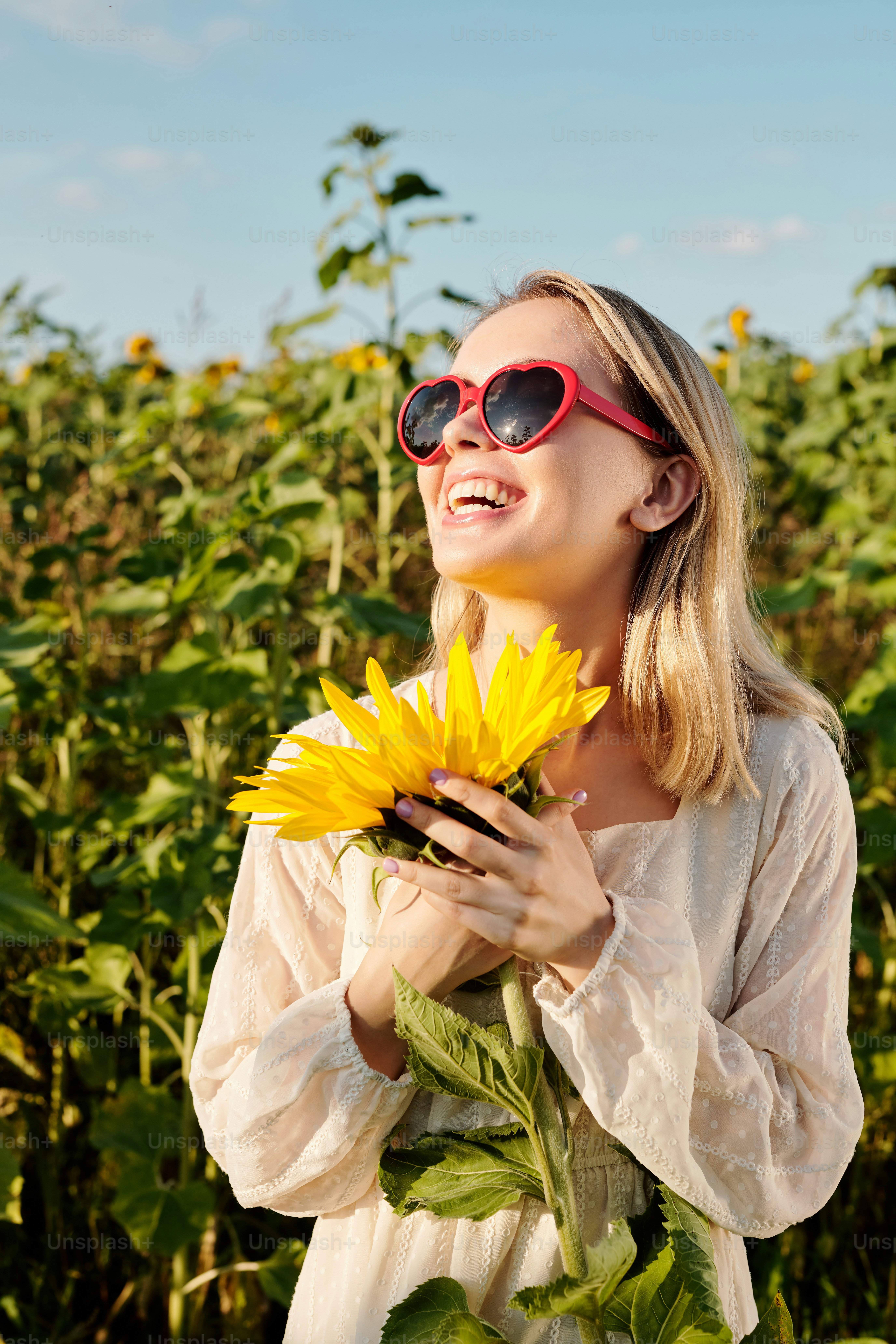 Menina loira rindo de óculos escuros e vestido branco ao lado de um dos girassóis na frente da câmera contra o céu claro no dia ensolarado de verão