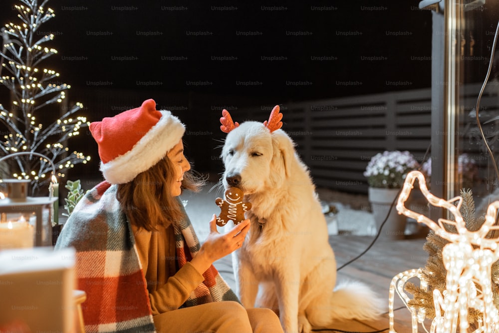 Portrait of a woman in christmas hat and plaid with her cute dog celebrating a New Year holidays on the beautifully decorated terrace at home, feeding dog with gingerbread cookies