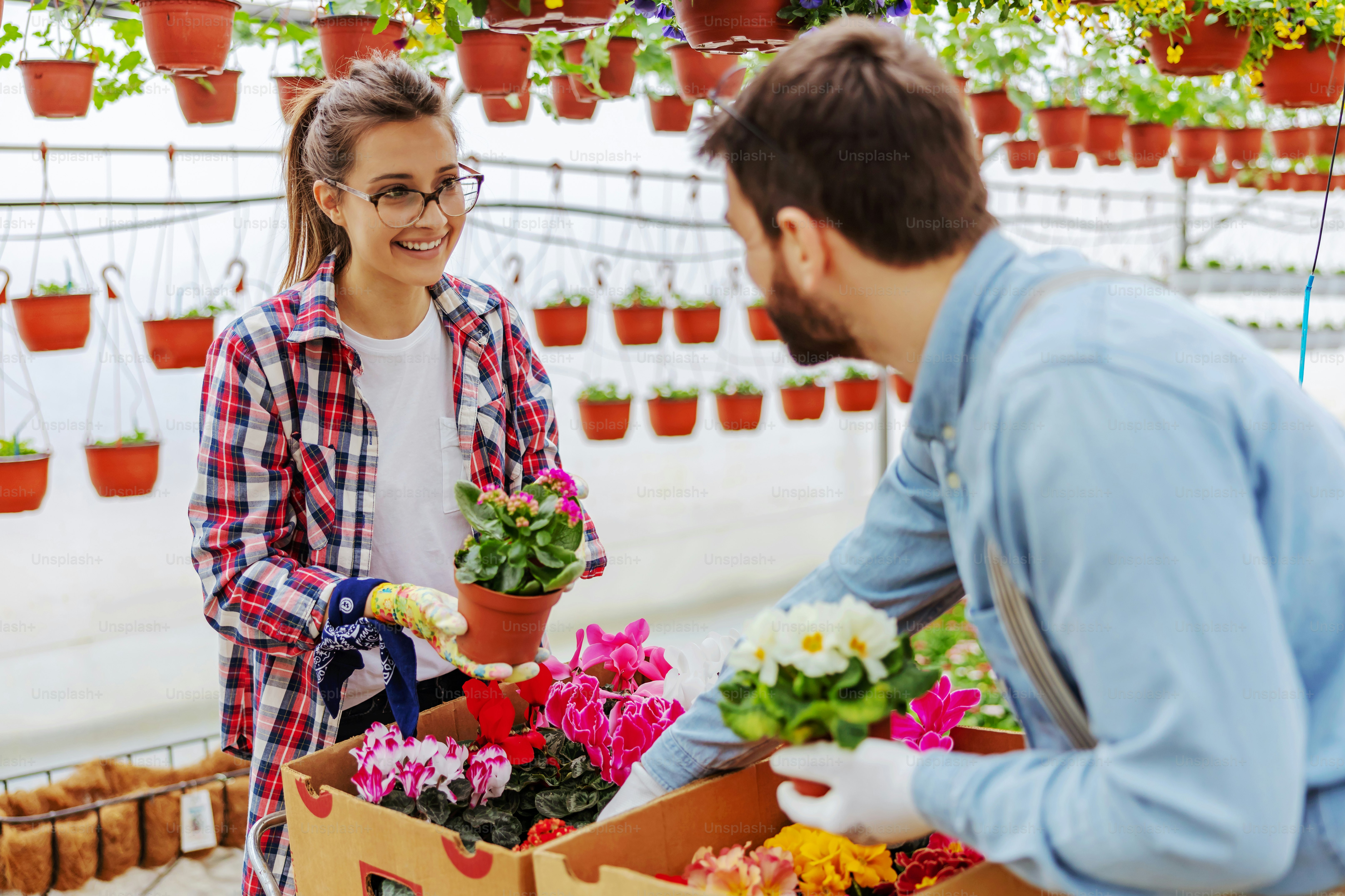 Pareja sonriente parada en invernadero y sacando flores de cajas. foto ...