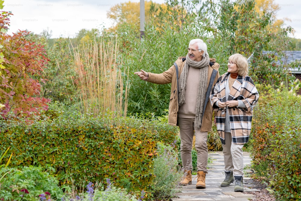Coppia anziana felice in abbigliamento casual caldo che si muove lungo la strada stretta tra cespugli e alberi mentre discutono di piante nel loro giardino