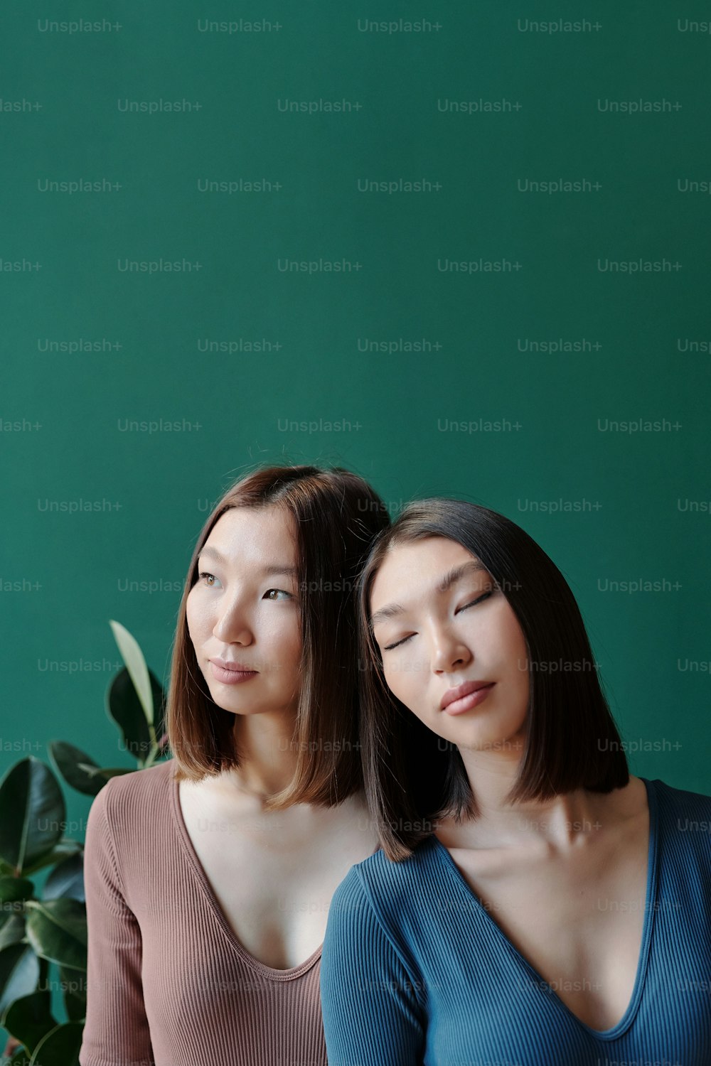 아시아 민족의 젊고 화려한 쌍둥이 자매는 국내 식물과 옥 녹색 벽을 배경으로 카메라 앞에서 휴식을 취하는 짙은 부드러운 머리카락을 가지고 있습니다