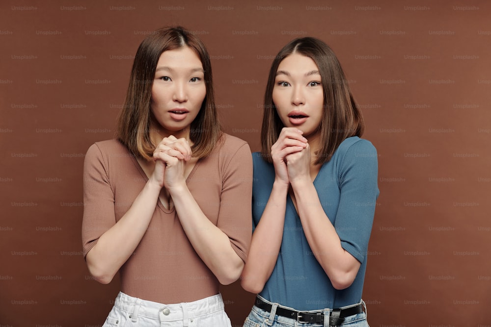 Two young amazed brunette females of Asian ethnicity keeping hands put together and crossed by chins while expressing great astonishment