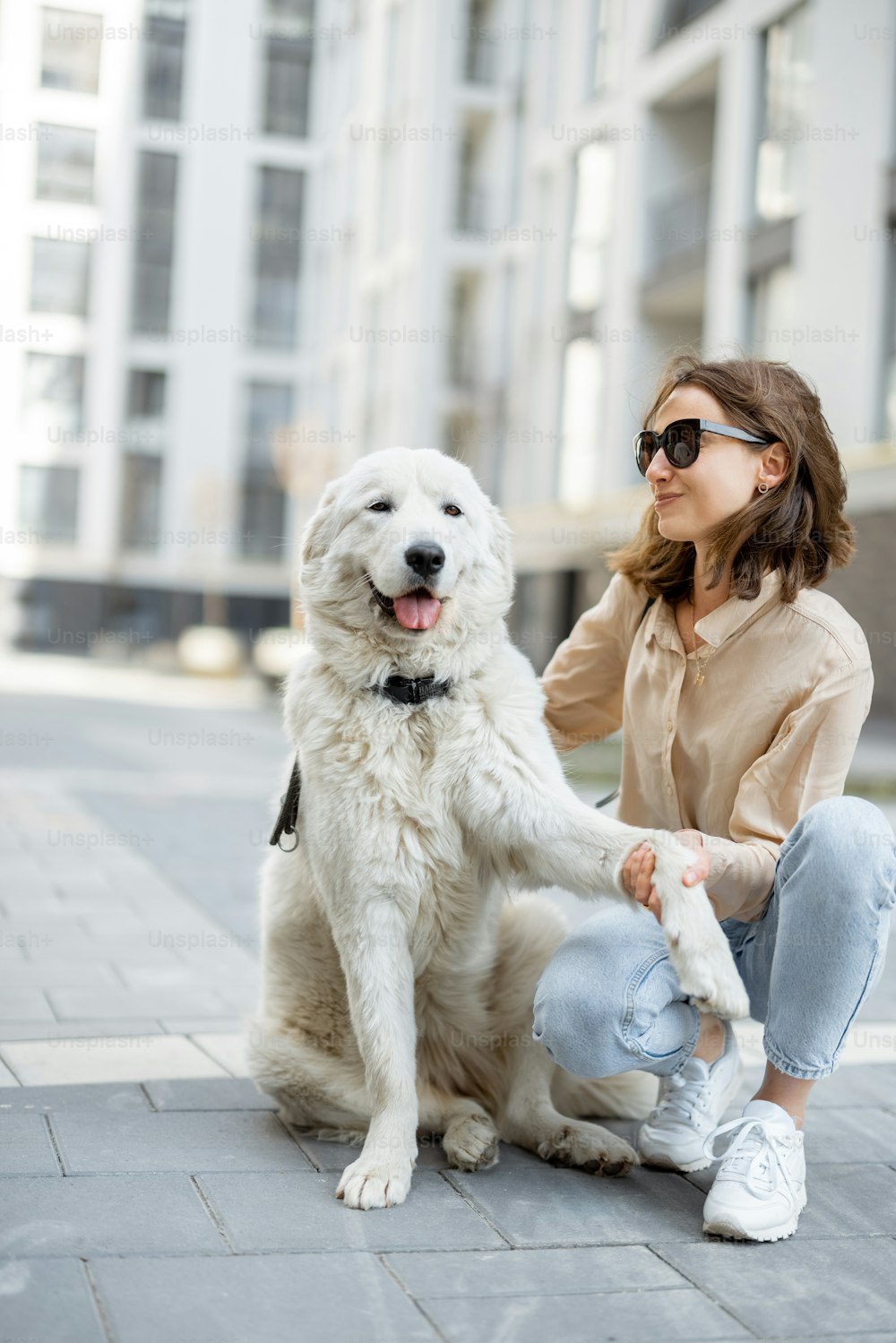 Cheerful woman play and hugs with her big white happy dog on the street. Pet friendly and pet care concept. Animal lover. Dog gives a paw