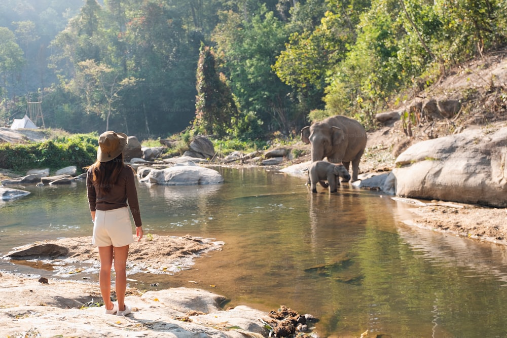 森の中の川のほとりで母象と象の赤ちゃんを見ている女性旅行者の背面画像