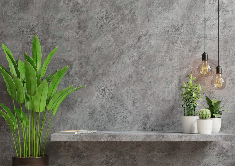 녹색 식물, 시멘트 벽 및 선반.3D 렌더링이 있는 내부 벽 모형