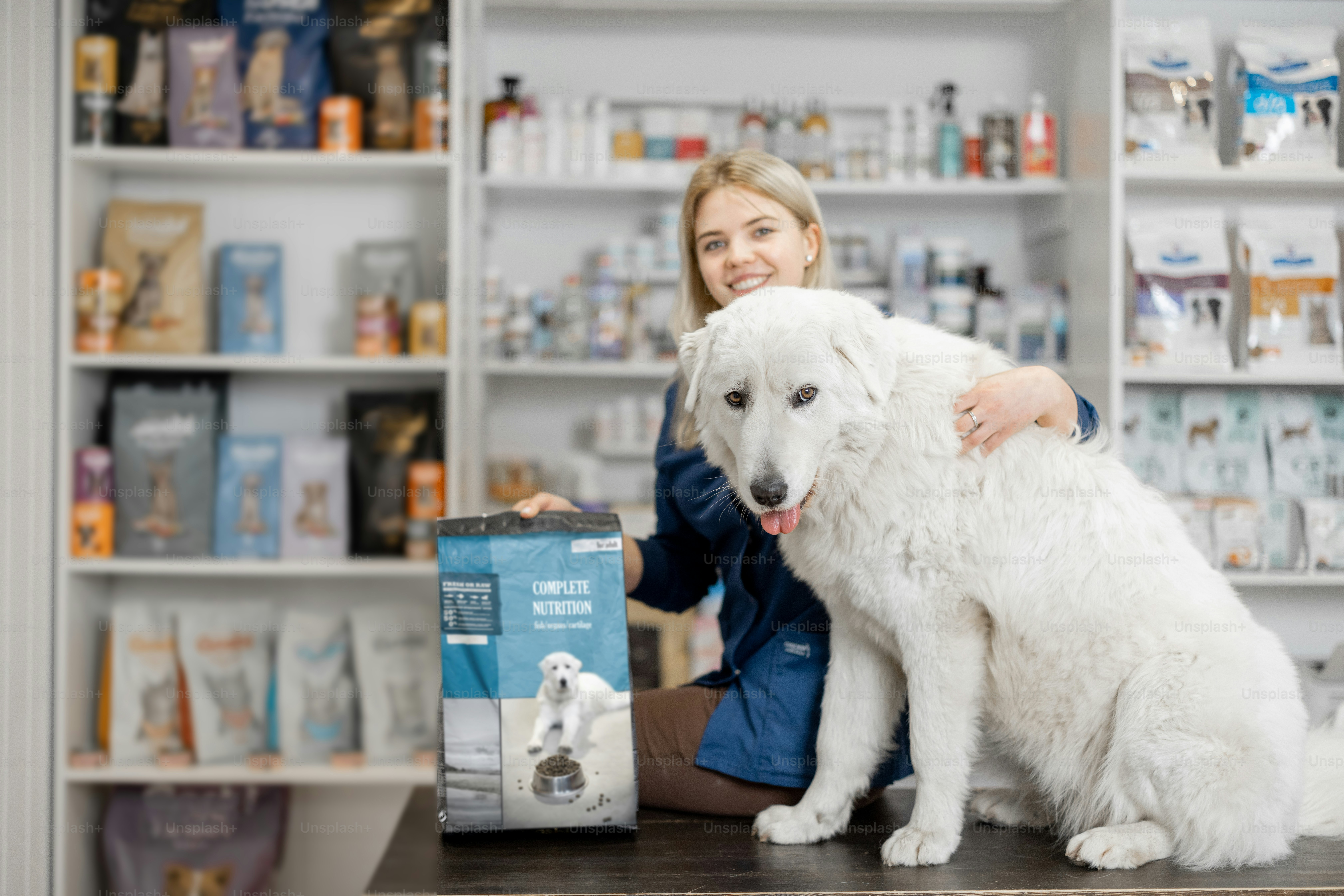 Cheerful female veterinarian and big sheepdog sitting on reception of veterinary store and clinic with packaging of dog dry food and nutrition. Pet care and treatment. .