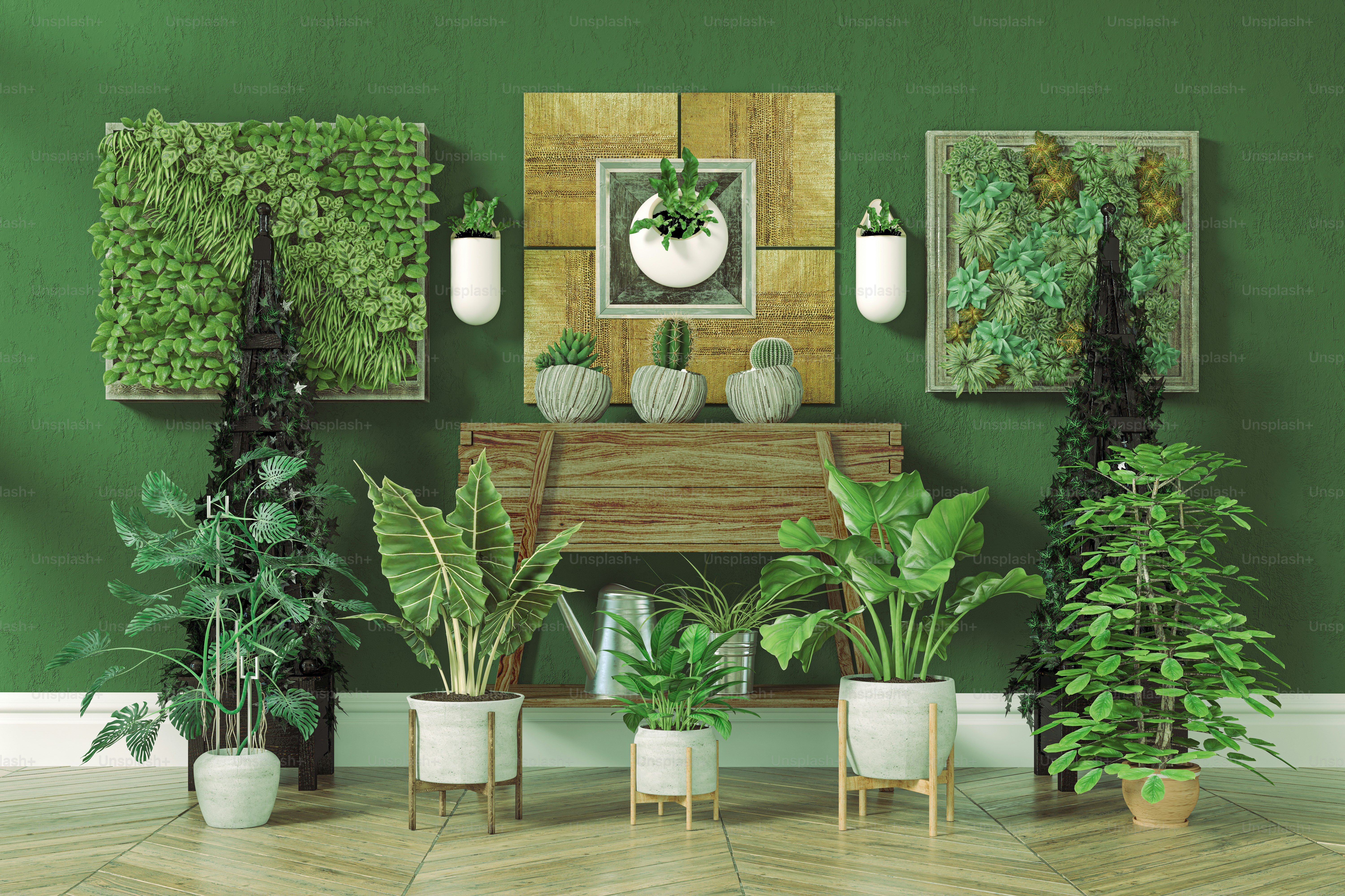 Stylish indoor plants in decorative planters