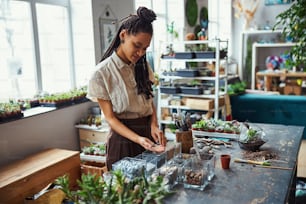 Focused beautiful dark-haired African American female florist examining small gray natural stones in her hand