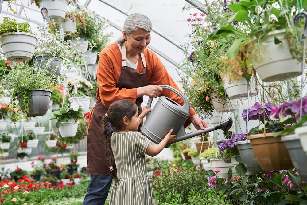 Cheerful senior florist is pouring water on flowers at garden center while standing and holding container of water. Her insequitive granddaughter looking at it with interest and helping to holding can