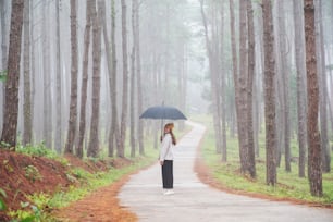 Une jeune femme avec un parapluie marchant seule dans les bois de pins par temps brumeux