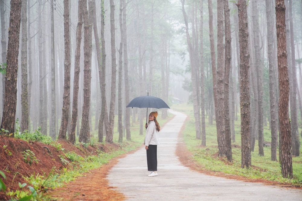 A young woman with umbrella walking alone in the pine tree woods on foggy day