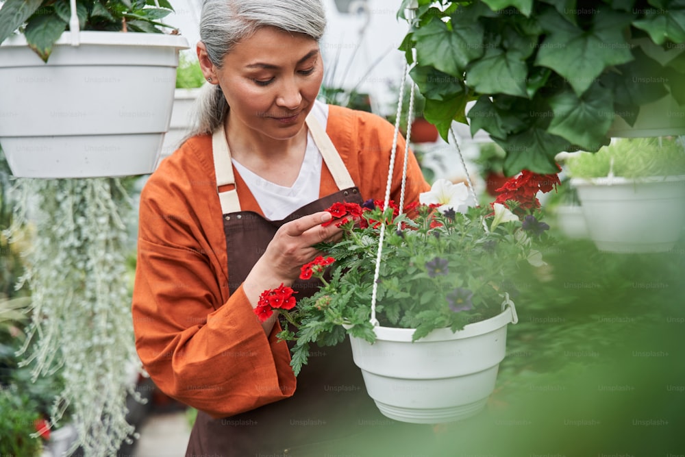 Waist up portrait view of the smiling woman in professional apron standing on plantation at the greenhouse and taking care of the flower bushes. Stock photo