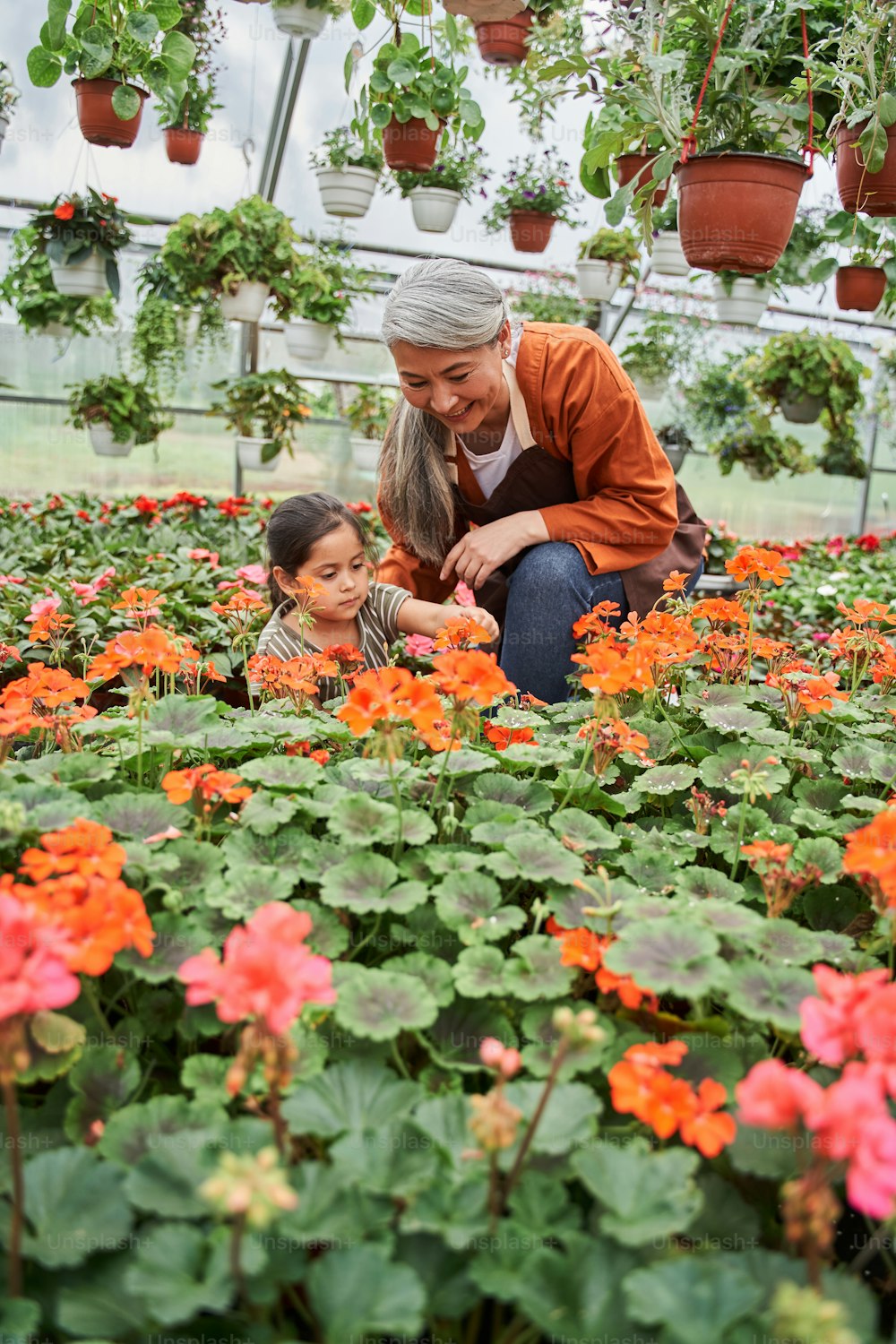 Actividad en la naturaleza. Vista recortada de la niña diligente mirando las flores después de plantar en el invernadero con su abuela. Foto de archivo