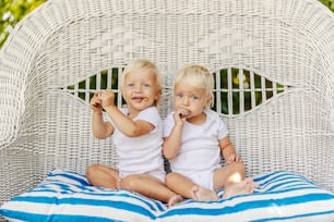 Toddler twins are on the wicker chair in the garden eating cookies. Cute babies in the white baby bodies hold a cake in their hands. Light hair, blue eyes, toddler babies, peaceful childhood