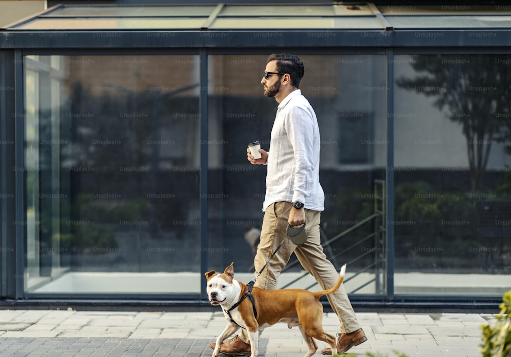 Businessman walking his dog on a leash and drinking his coffee to go. They are passing by the buildings.