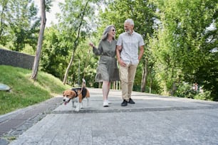 Vista a figura intera della coppia di pensionati deliziati che si godono le passeggiate estive mentre attraversano il parco con suo marito e il suo cane. Concetto di pensionamento