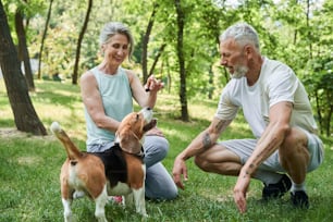 Affection and love. Full length view of the joyful senior man and his wife sitting at the grass at the park with their dog. Retirement people concept