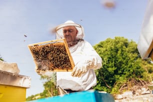 Apicultor que trabalha na coleta de mel. Conceito de apicultura.